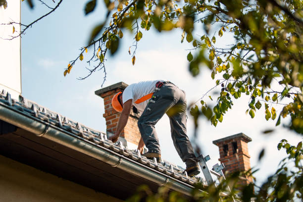 Best Storm Damage Roof Repair  in Wailua, HI