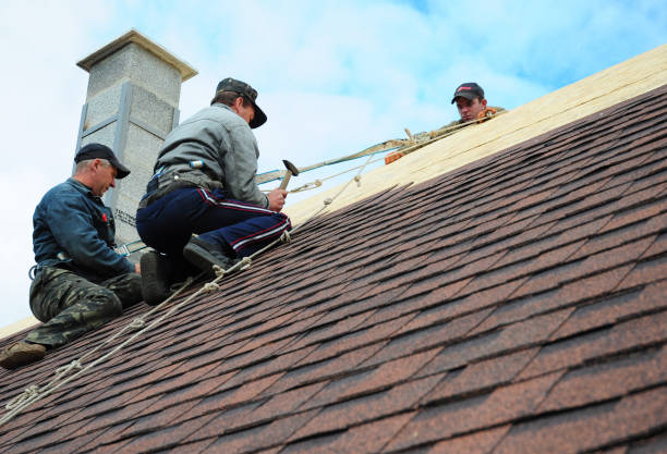 Best Roof Gutter Cleaning  in Wailua, HI